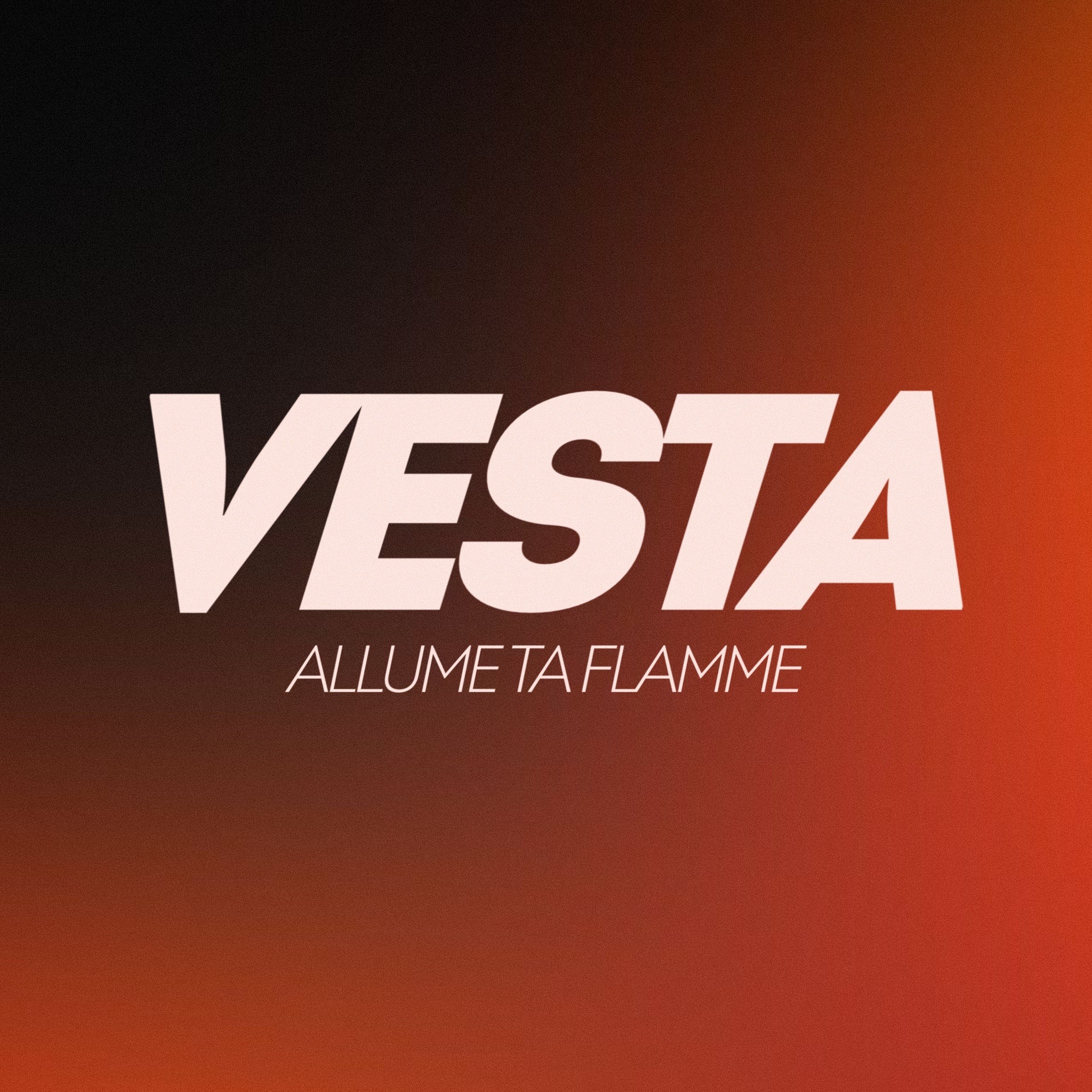Vesta - Marque de Vêtement streetwear project image