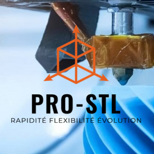 PRO-STL project image